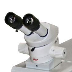 Leica MS microscope with step magnification